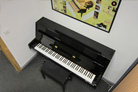 Professional electric piano.